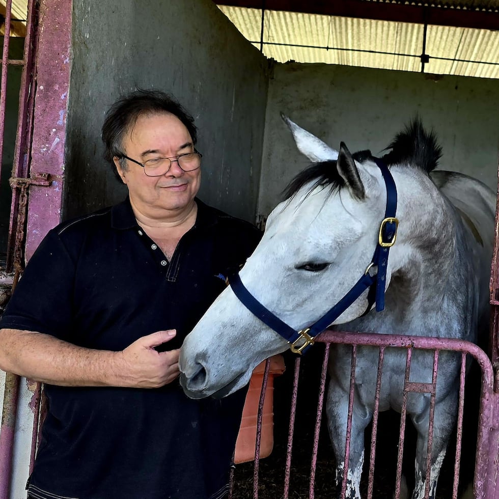 Esta es la yegua campeona Casta Diva, quien parte de favorita este martes en el Clásico Día de Reyes. Aquí está junto a su propietario Wally Rodríguez.