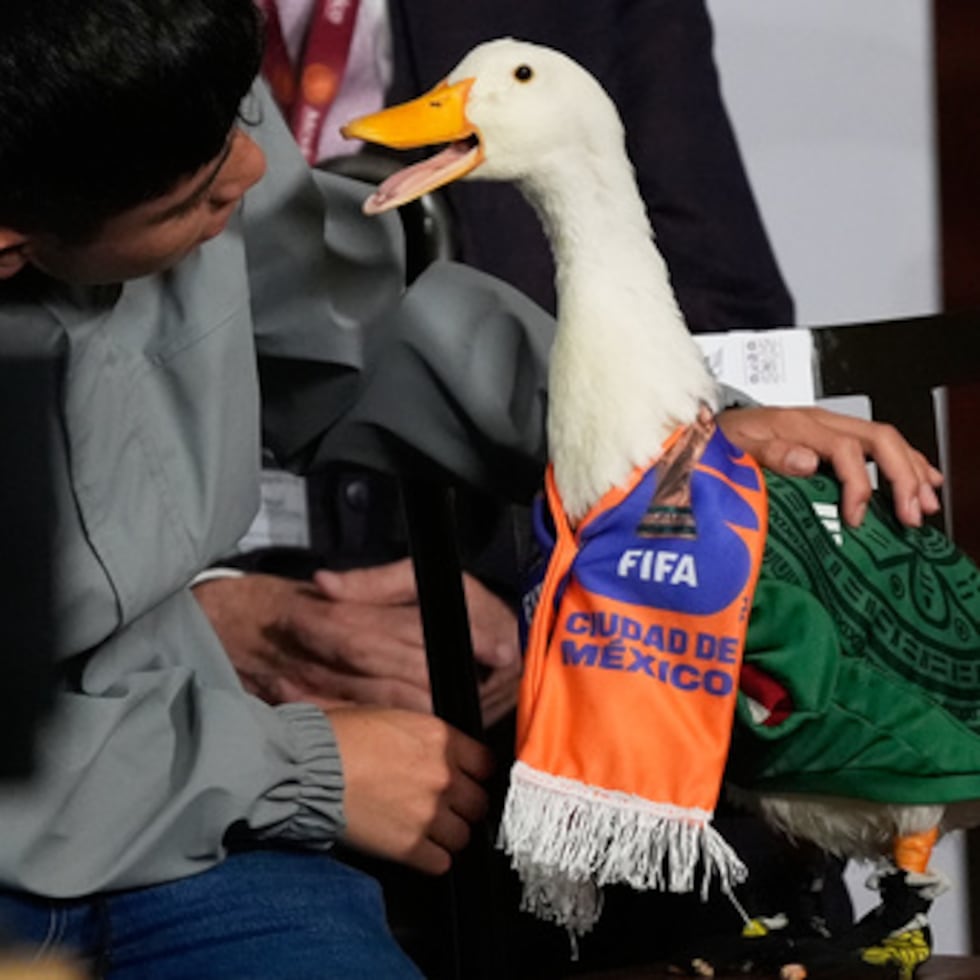 El pato Merlín, el animal que se convirtió en la mascota mexicana de este Mundial, no respondió a las preguntas; lo hizo su dueña, Carla Gómez.