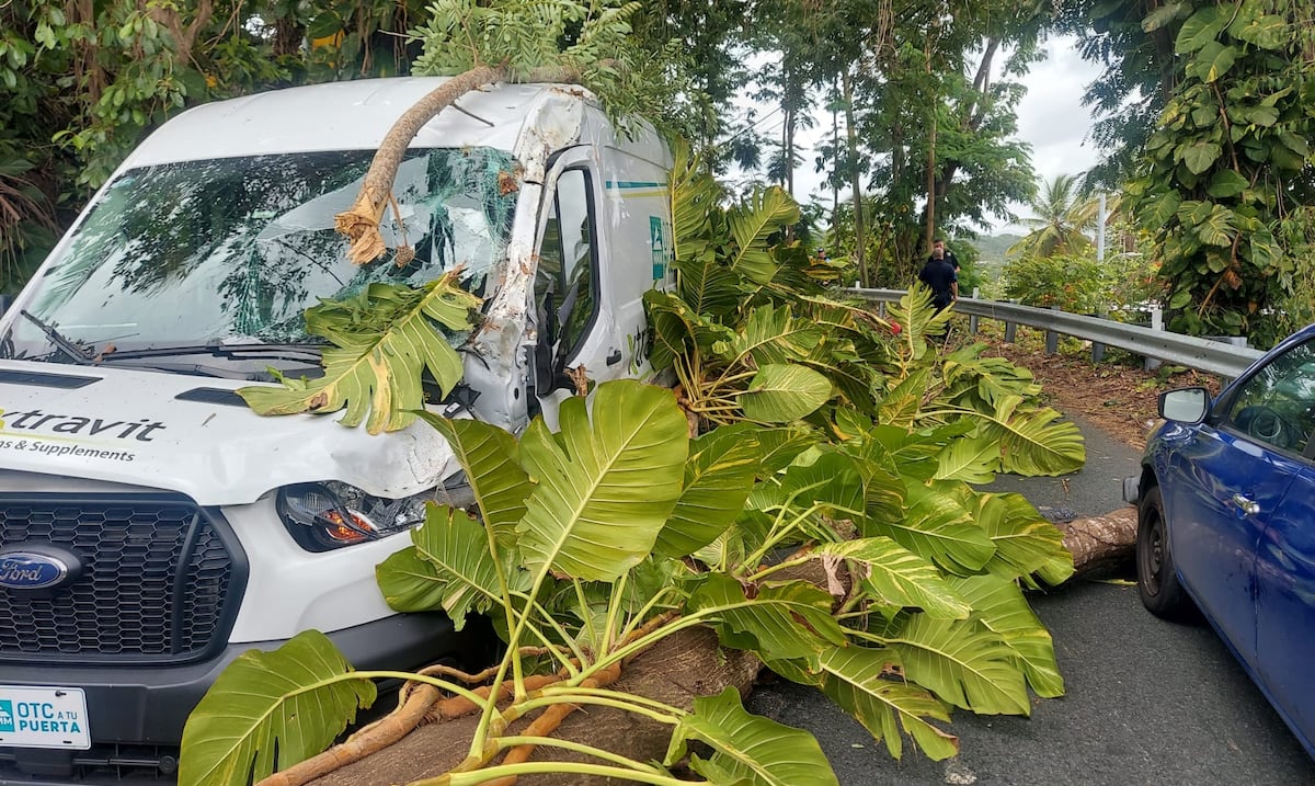 Árbol cae en la PR-165 en Toa Alta, daña vehículos y obstruye la vía