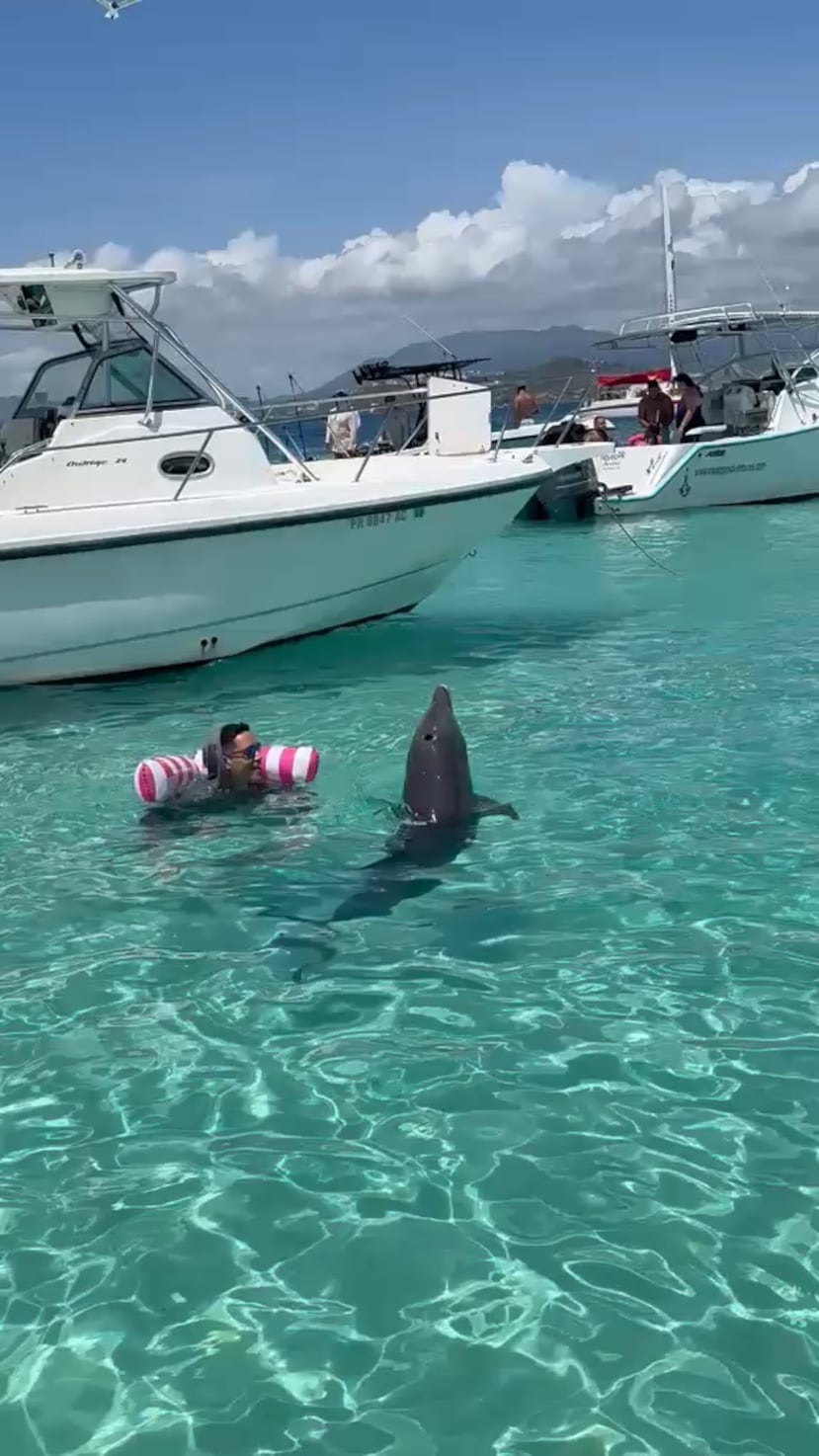 Captura de pantalla de un video suministrado por Boating PR en el que se ve a una persona tocando y "jugando" con un delfín mientras este salta fuera del agua. Según la DRNA, muchos comportamientos que interpretamos como diversión podrían ser señales de agresión.