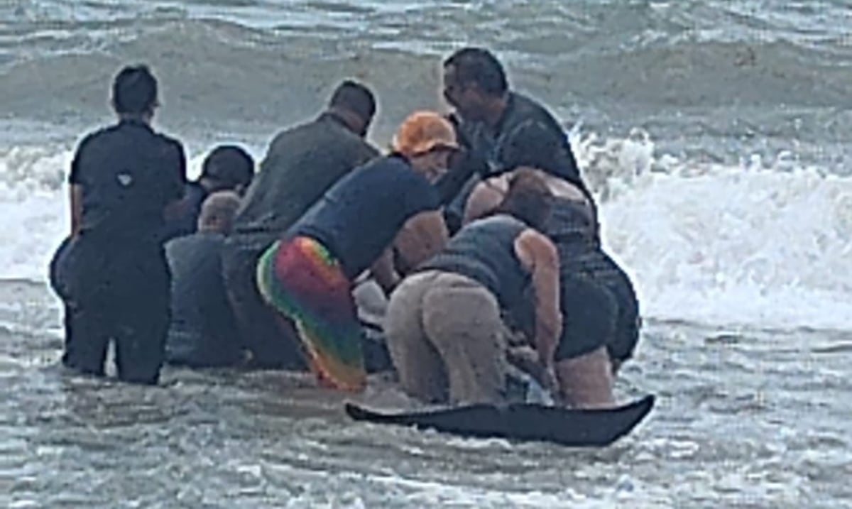 Cuatro ballenas piloto quedan varadas en Punta Santiago en Humacao