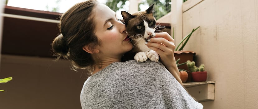 Más que una moda, los gatos son un gran compromiso. (Shutterstock)