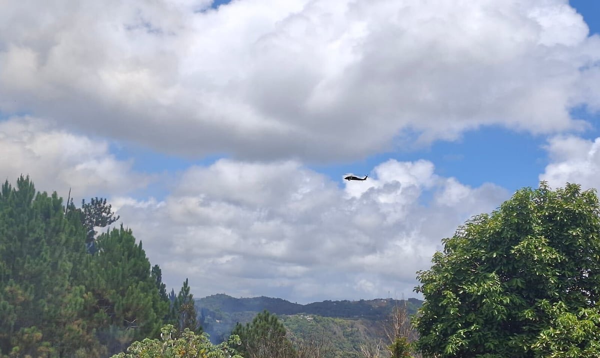 Activan a la Guardia Nacional para extinguir un fuego forestal en Cayey