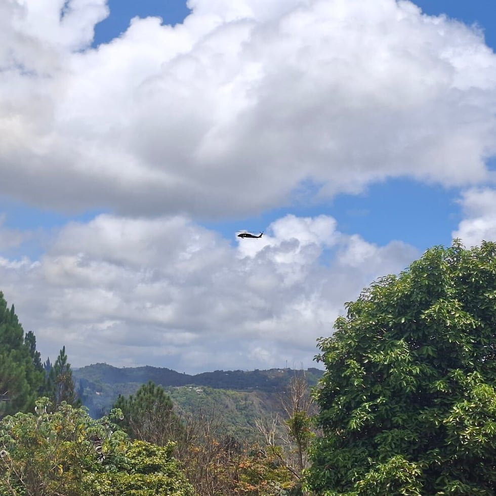 Así luce el área del incendio forestal en Cayey.