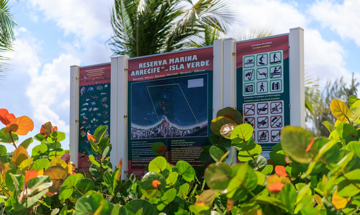 Aguas contaminadas amenazan la Reserva Marina Arrecife de la Isla Verde