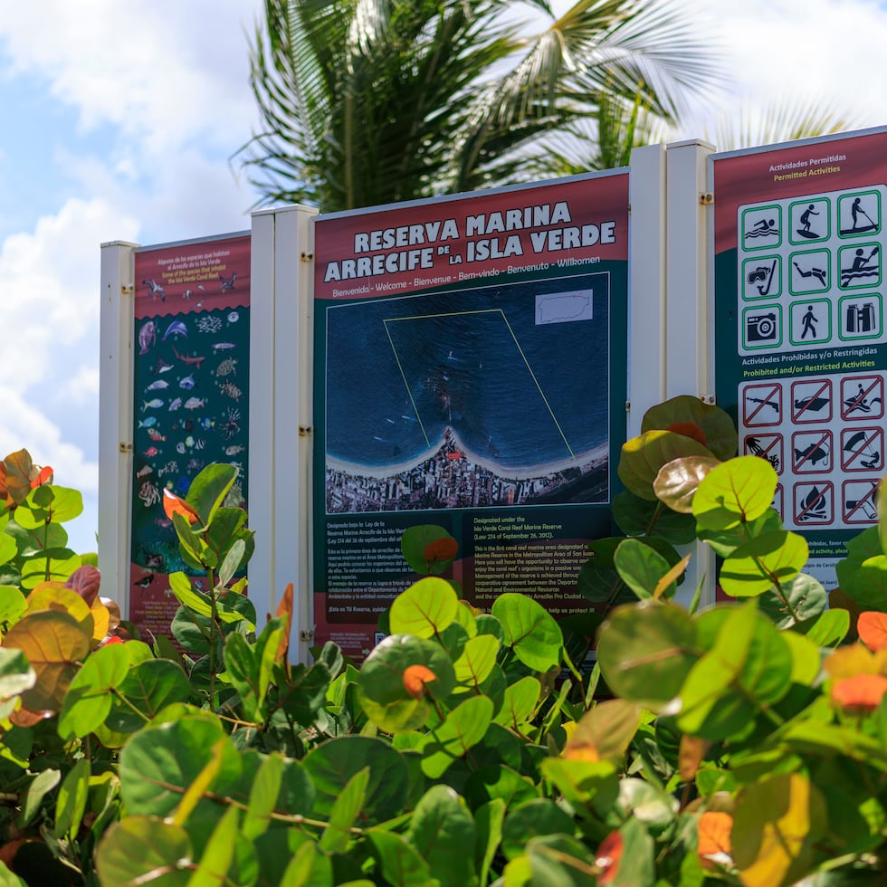 The Arrecife de la Isla Verde Marine Reserve was established by law in 2012.