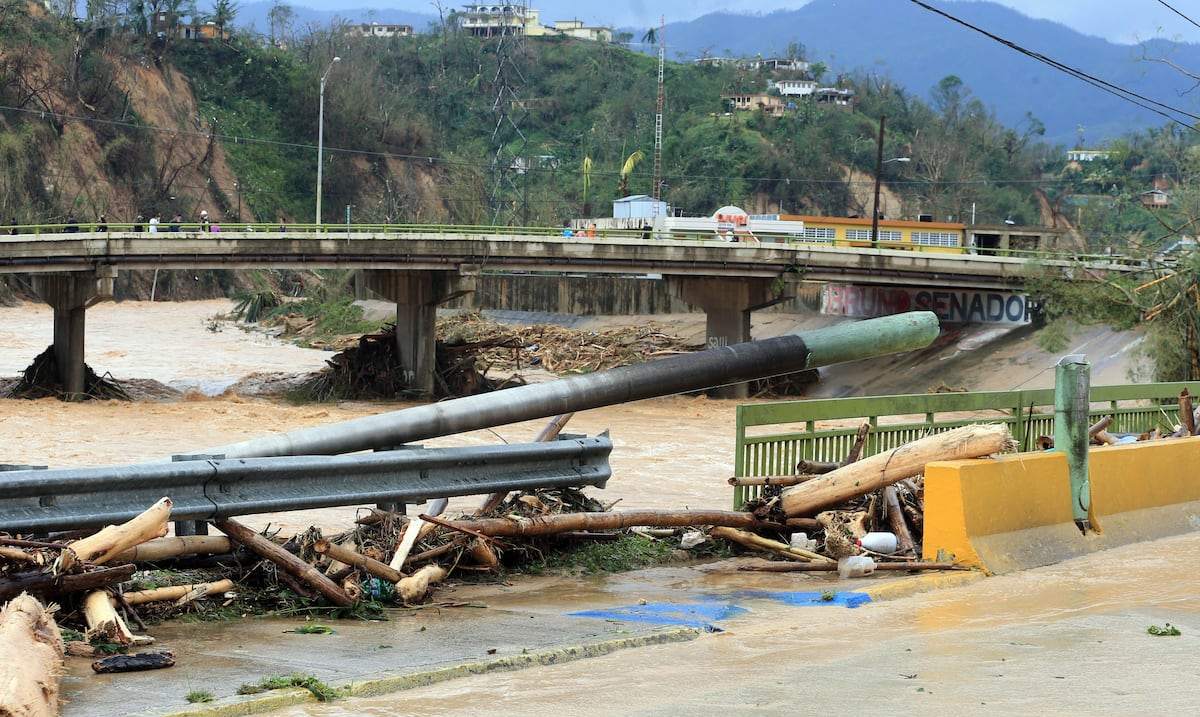 ¿Está preparado el gobierno de Puerto Rico para asumir responsabilidades de FEMA? Expertos analizan el tema