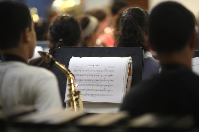 Hay escuelas especializadas en Música que ofrecen cursos de ejecución instrumental (de una variedad de instrumentos de viento, de cuerda o de percusión), teoría musical, composición y dirección.