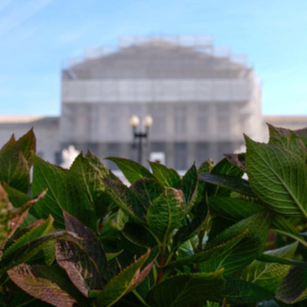 The U.S. Supreme Court is seen on Capitol Hill, Friday, Nov. 7, 2025, in Washington. (AP Photo/Mariam Zuhaib)