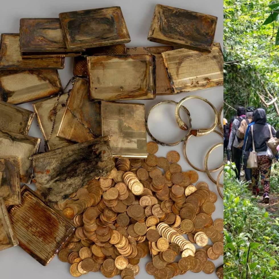 Dos hombres recorrieron kilómetros en un bosque y encontraron un tesoro.