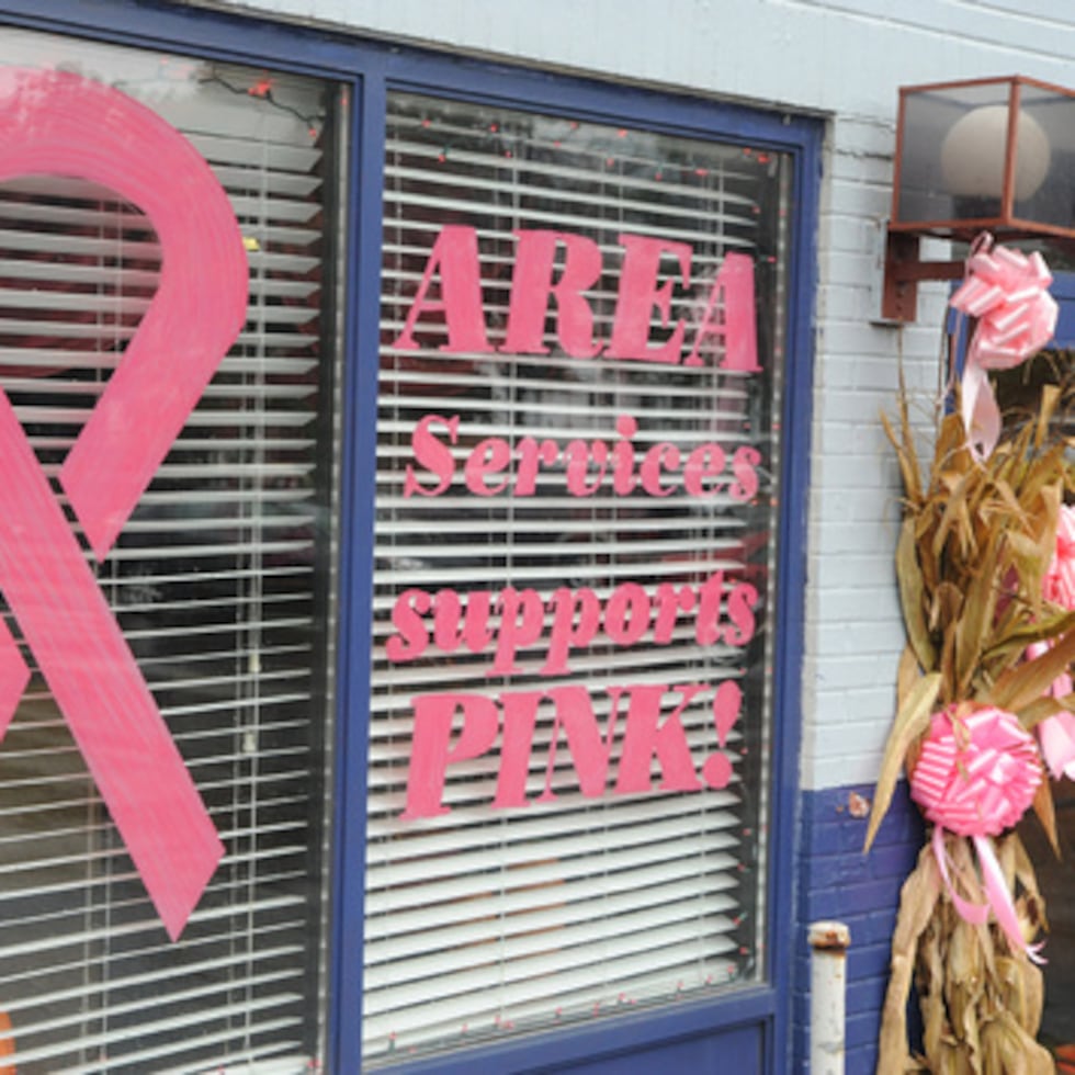 ARCHIVO - El edificio de AREA Services en Shamokin, Pensilvania, está decorado con lazos rosas y sujetadores por el mes de la concienciación sobre el cáncer de mama, el jueves 4 de octubre de 2012. (Mike Staugaitis/The News-Item vía AP)