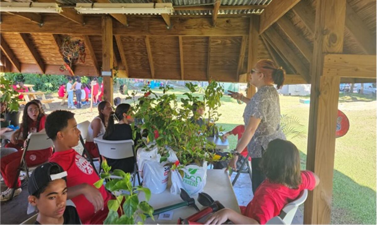 “Un pulmón en el recinto”: innovación ecológica en el Laboratorio de Educación Ambiental y Desarrollo Sostenible en la UPR de Río Piedras