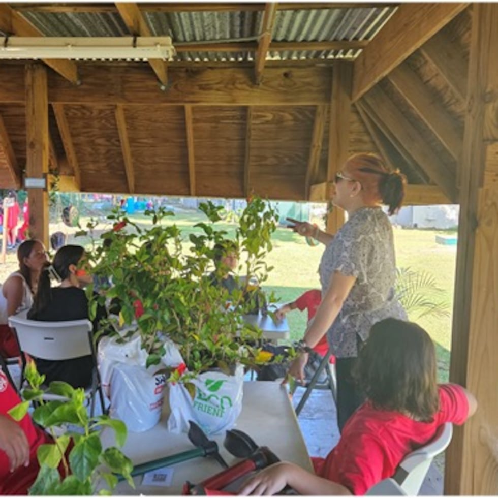 El Laboratorio de Educación Ambiental y Desarrollo Sostenible (LEADS) en la UPR de Río Piedras fue creado por la profesora Keyla Soto Hidalgo, y se imparten actividades para estudiantes desde nivel preescolar hasta universitarios.