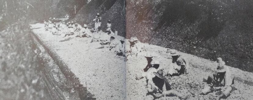 Según el profesor Jorge Lee Borges, autor del libro "Los chinos en Puerto Rico", el primer grupo de 350 hombres procedentes de China que llegó a Puerto Rico durante el Siglo XiX fue para trabajar en la construcción de la "Carretera Central", específicamente en la sección de Caguas a Cayey.