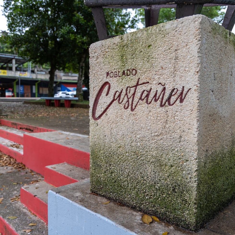 El poblado Castañer comparte fronteras con Lares, Adjuntas, Yauco y Maricao.