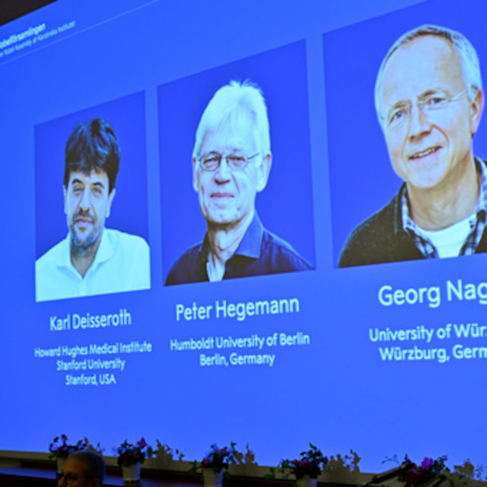 En la pantalla aparecen Karl Deisseroth, Peter Hegemann y Georg Nagel en el momento de recibir el Premio Nobel de Medicina de 2026.
