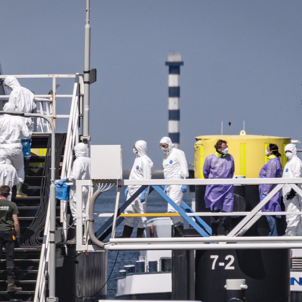 El MV Hondius con 147 pasajeros y tripulantes llegó a Canarias el pasado 10 de mayo, tras un periplo que comenzó en Ushuaia, en Argentina, y que les llevó a varias islas en el Atlántico y durante el que aparecieron varios casos de hantavirus que han causado tres muertos.