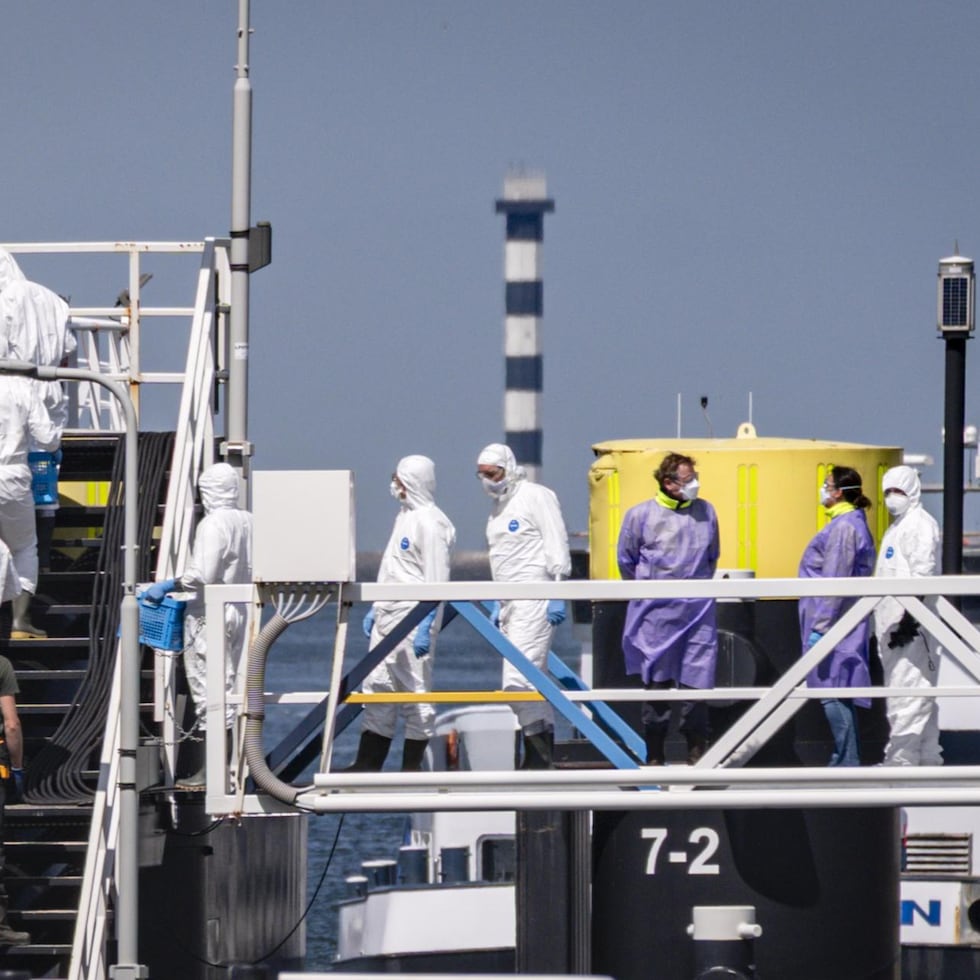 Personal del Erasmus MC con trajes blancos aborda el crucero MV Hondius afectado por hantavirus tras llegar al puerto de Rotterdam, en Países Bajos.