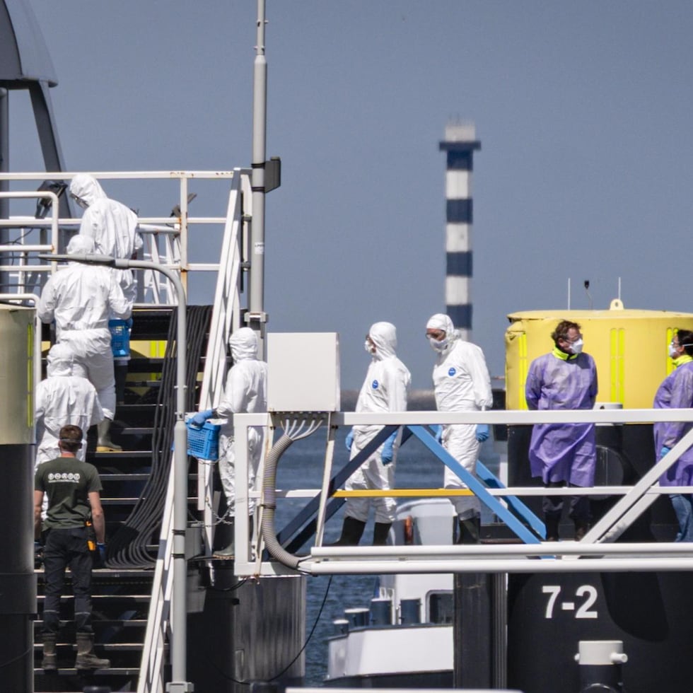 Personal del Erasmus MC con trajes blancos aborda el crucero MV Hondius afectado por hantavirus.