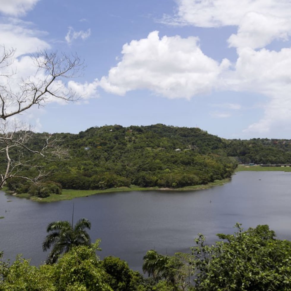 Los trabajos bajo el proyecto financiado por FEMA se llevan a cabo en 37 embalses, la mayoría de ellos propiedad de la AEE.