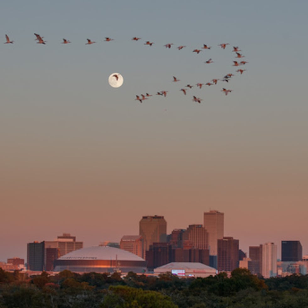 El encuentro celebra la música, la gastronomía y la cultura de Luisiana, y atrajo a unas 460,000 personas el año pasado, según los organizadores.