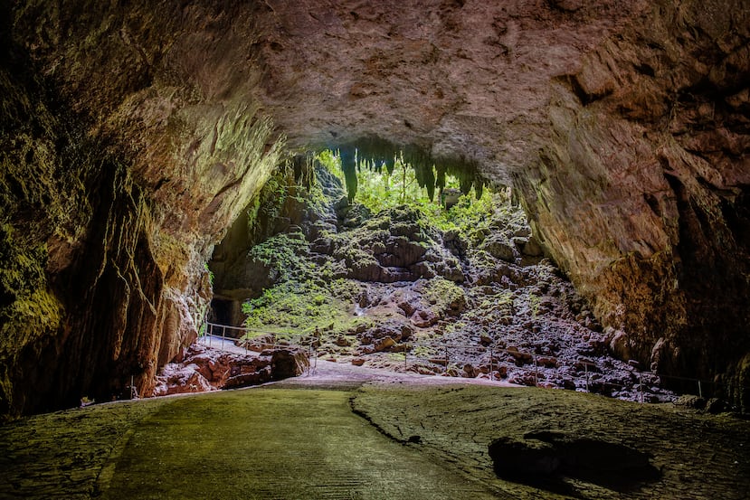 Uno de los extremos de la Cueva Clara en las Cavernas del río Camuy.