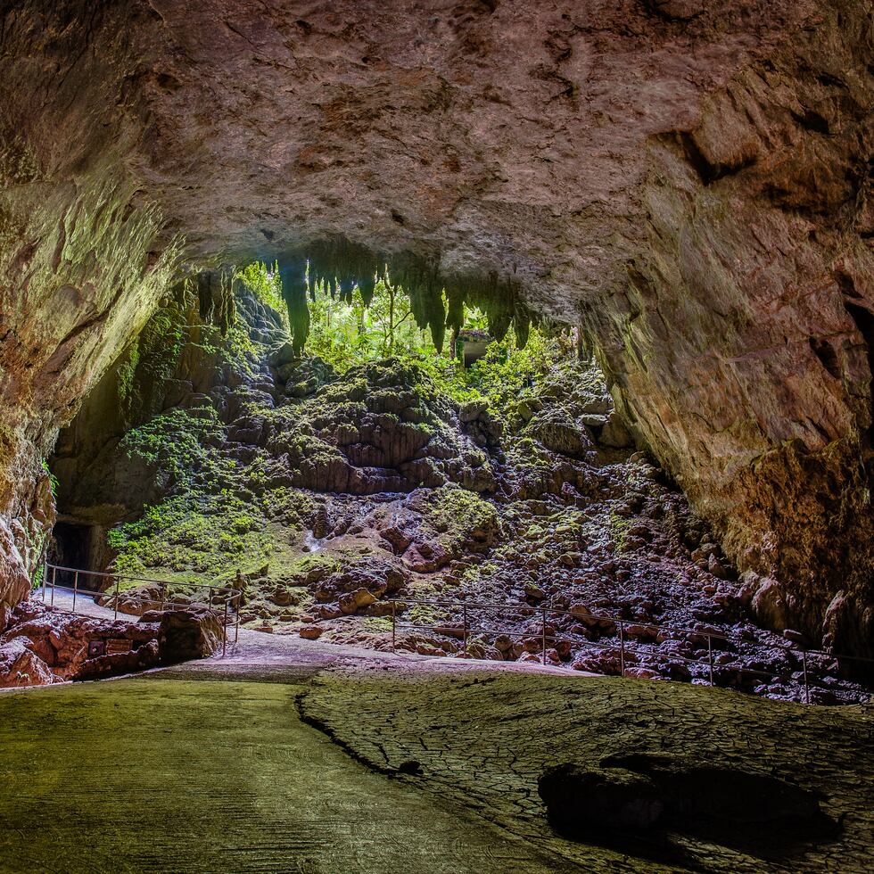 Desde el 2017, el Parque permanece cerrado al público. Han transcurrido varios años sin que los puertorriqueños y nuestros visitantes puedan disfrutar regularmente de uno de los tesoros naturales más extraordinarios de nuestra isla, señala Nelson Vera.