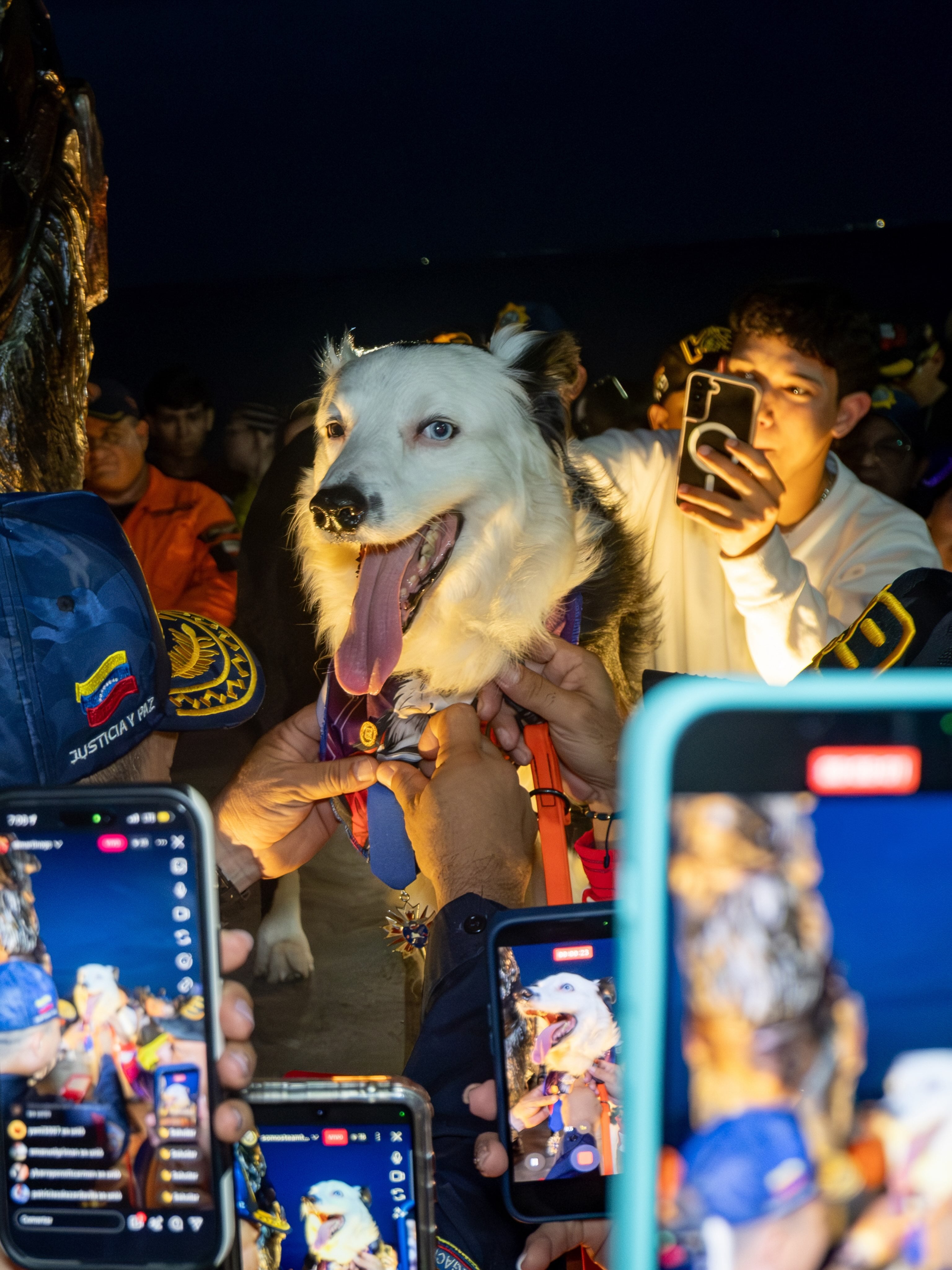Tsunami, el perro héroe que ayudó a salvar 40 vidas tras el terremoto en Venezuela y ahora tiene una estatua