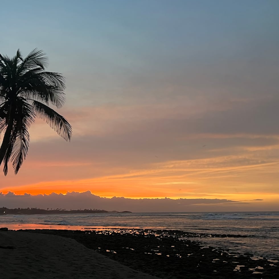 El recorrido nocturno en la Resera Natural Hacienda La Esperanza, en Manatí, es guiado por interpretes ambientales de Para la Naturaleza.