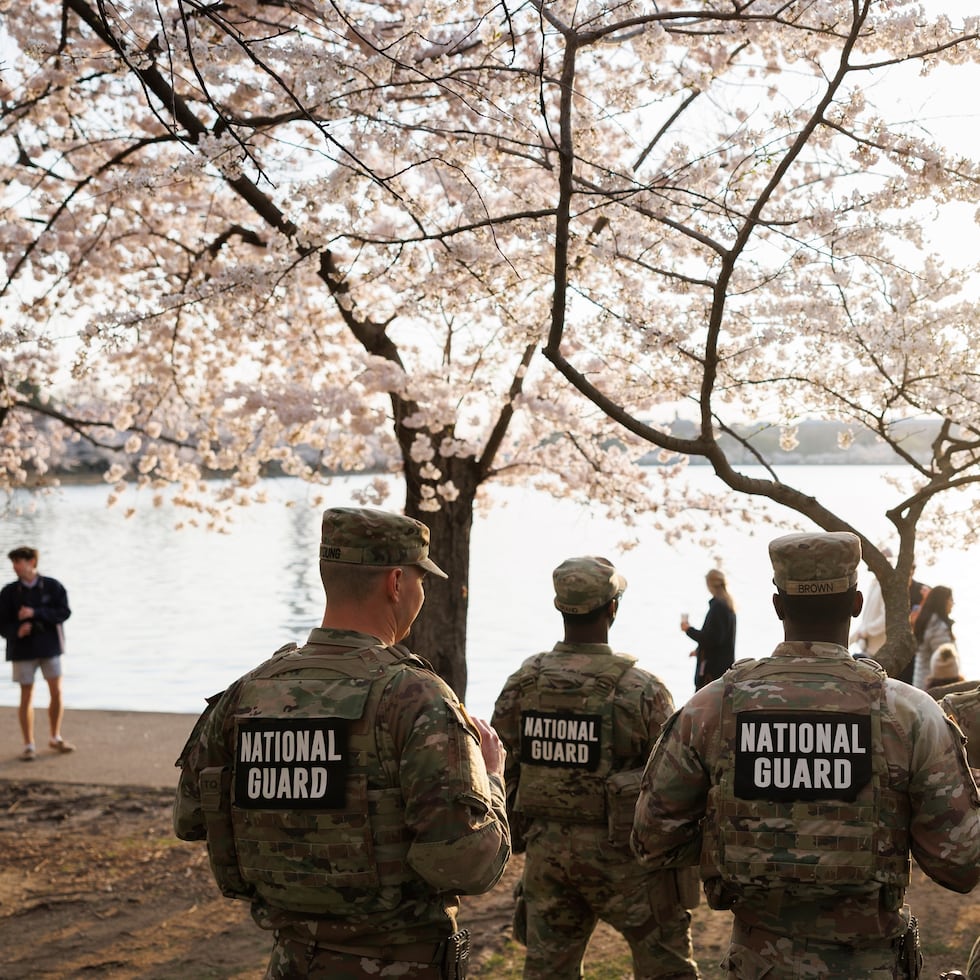 Miembros de la Guardia Nacional de Mississippi patrullan entre los cerezos en flor a lo largo de la dársena del National Mall el jueves 26 de marzo de 2026 en Washington.