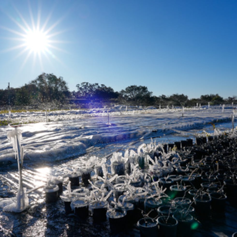 Se han reportado más de 110 muertes hasta ahora debido a las temperaturas extremas.