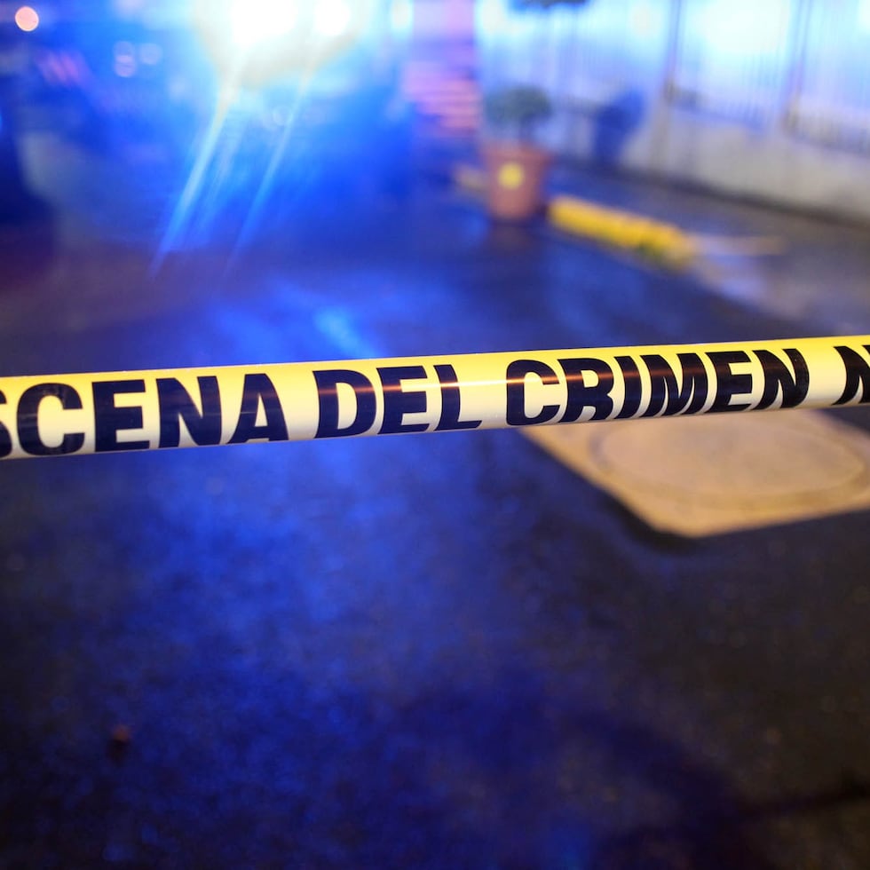 Hasta este domingo, la Policía había reportado 452 asesinatos en lo que va de este año, 27 menos que los 479 registrados a la misma fecha en el 2024.