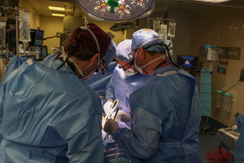 Surgeons perform the world’s first genetically modified pig kidney transplant into a living human at Massachusetts General Hospital, Saturday, March 16, 2024, in Boston, Mass. (Massachusetts General Hospital via AP)