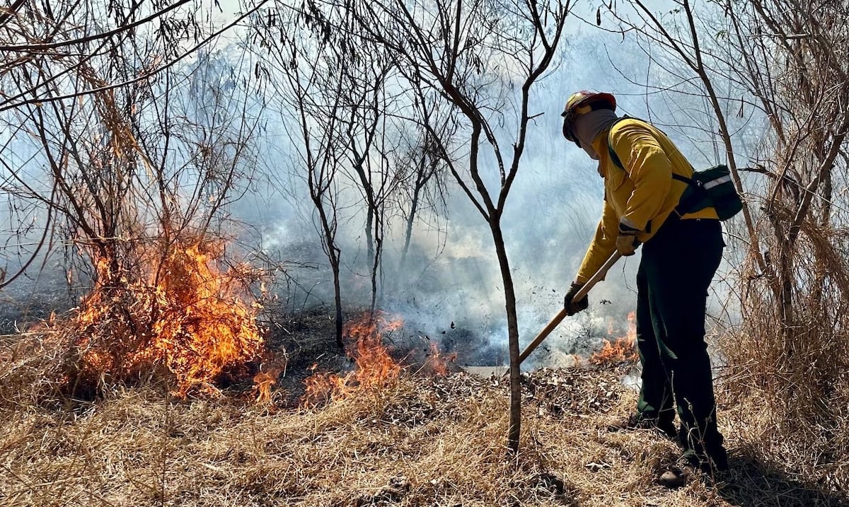 Bomberos de Puerto Rico han atendido 1,113 incendios forestales en lo que va de 2026