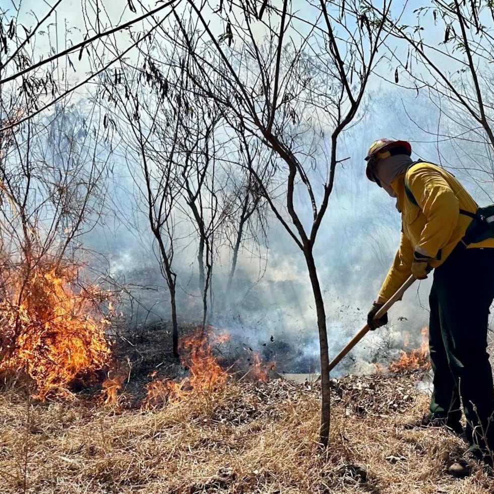 El Cuerpo de Bomberos atribuye parte del panorama a la falta de lluvia, el exceso de calor y prácticas humanas como quemas desatendidas y colillas de cigarrillo.