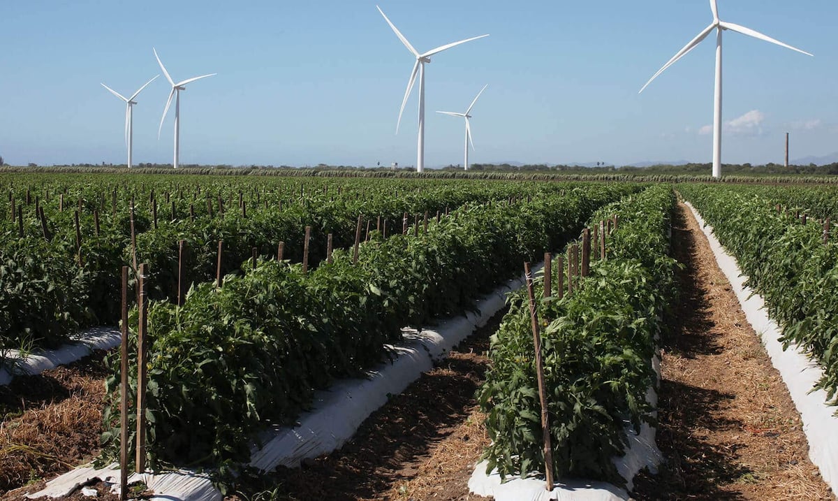 Proyectos de energía renovable con baterías cierran financiamientos por más de $250 millones