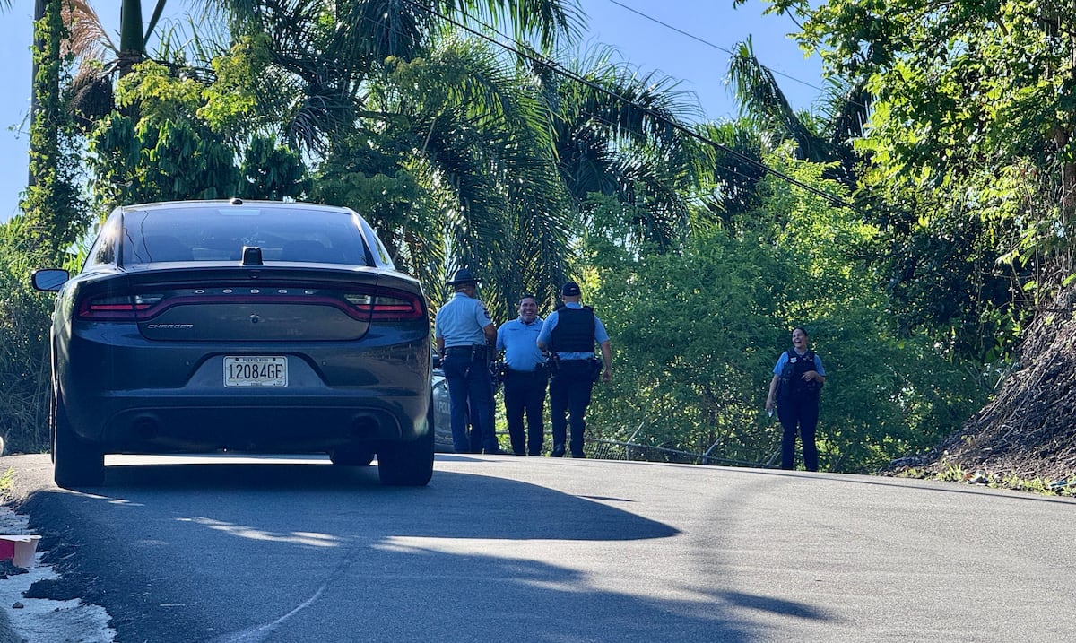 Dos asesinatos en Guaynabo y Bayamón movilizan a la Policía: ¿qué se sabe?