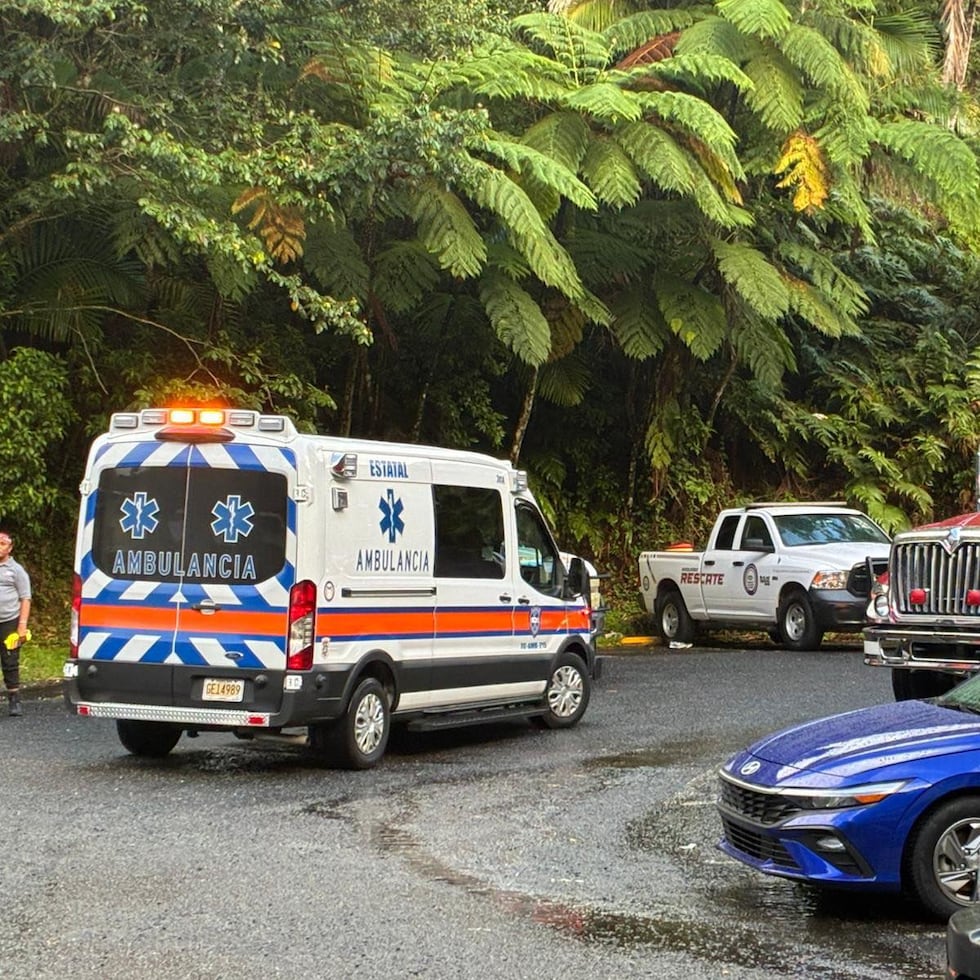 Dos turistas quedaron varados en el río Sabana de Naguabo.