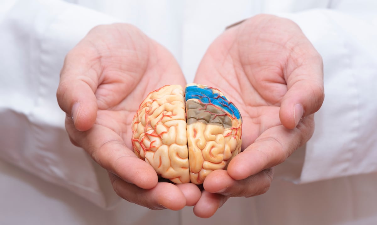 Ley establece ventana de 4.5 horas para diagnóstico y tratamiento de ataques cerebrovasculares