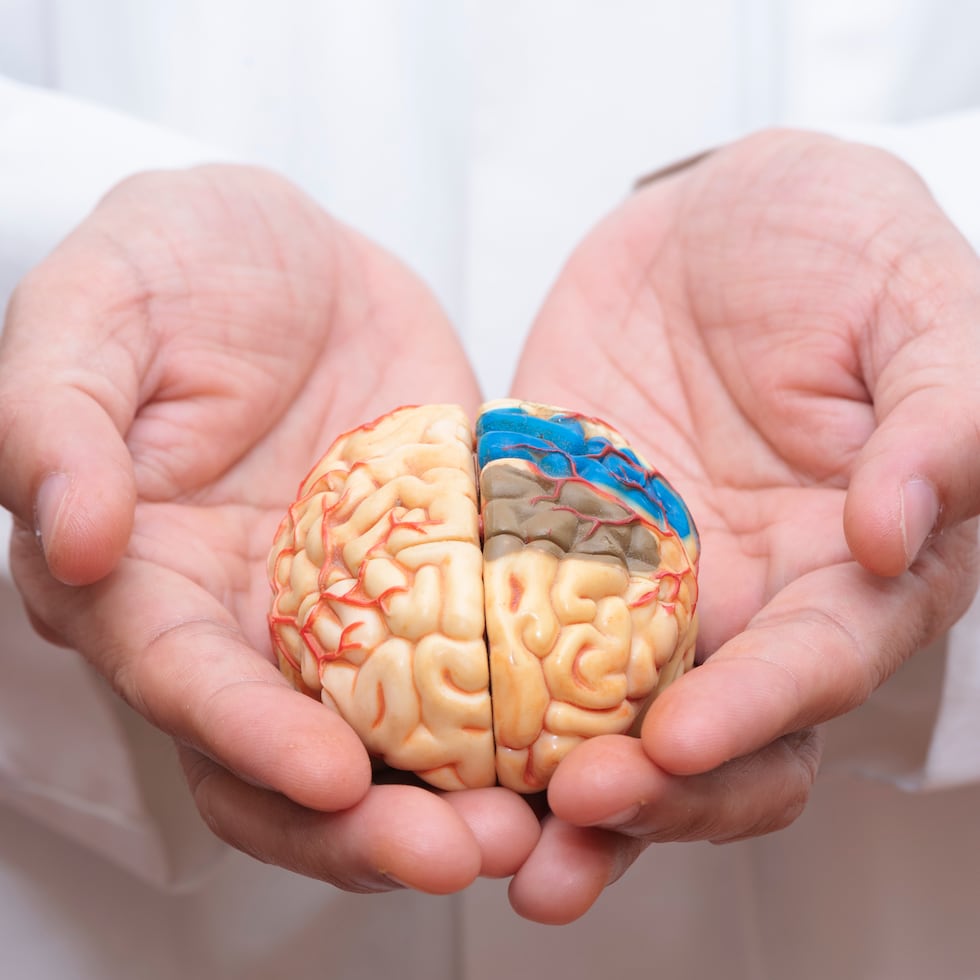 Discute con tu médico las señales de advertencia de un ataque o accidente cerebrovascular.
