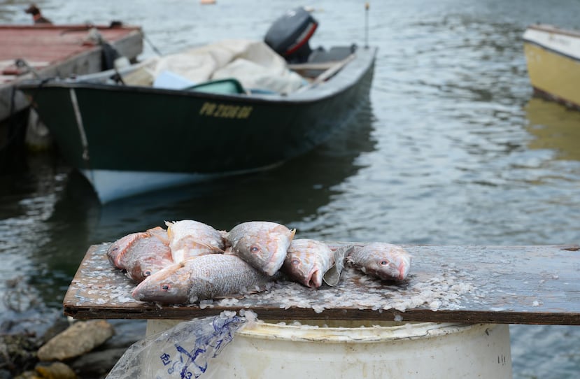 Tras el paso del huracán María, solo la mitad de las villas pesqueras de Puerto Rico han vuelto a operar, aunque parcialmente.