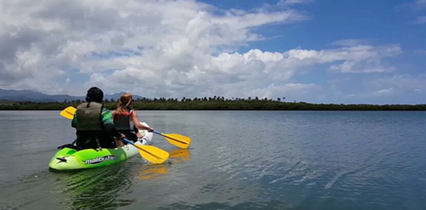 Una vez en la laguna, a lo lejos se divisa El Yunque, así como el faro Las Cabezas de San Juan, construido en 1880, y el segundo más antiguo de Puerto Rico. (vanessa.serra@gfrmedia.com)