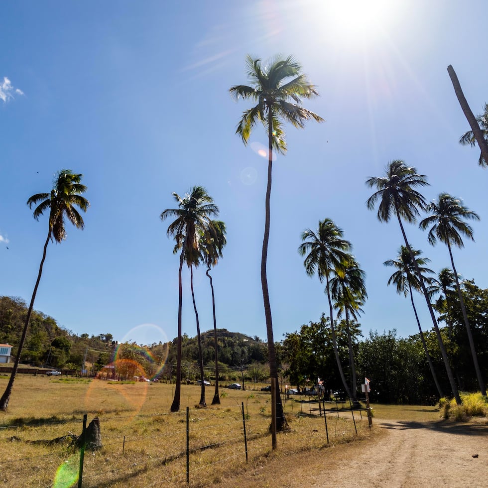 La Reserva Marina Tres Palmas está protegida desde 2004.