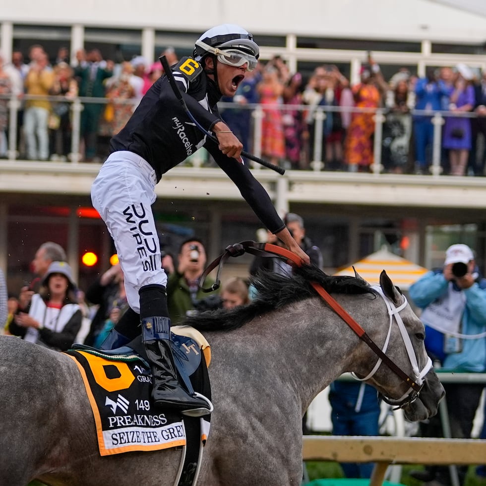 The presence of seven Puerto Rican jockeys is not only good news—it reflects the quality of Puerto Rican talent and its consolidation in U.S. racing circuits, beyond those who work exclusively as exercise riders.