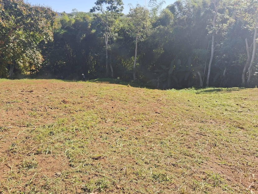 Imagen del solar adquirido.