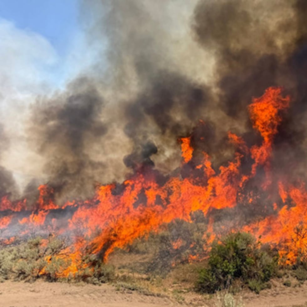 Esta fotografía sin fecha, facilitada por el Servicio Forestal de Estados Unidos el viernes 7 de agosto de 2026, muestra el incendio forestal Widemouth 2 mientras arde cerca de Richfield, en Utah.