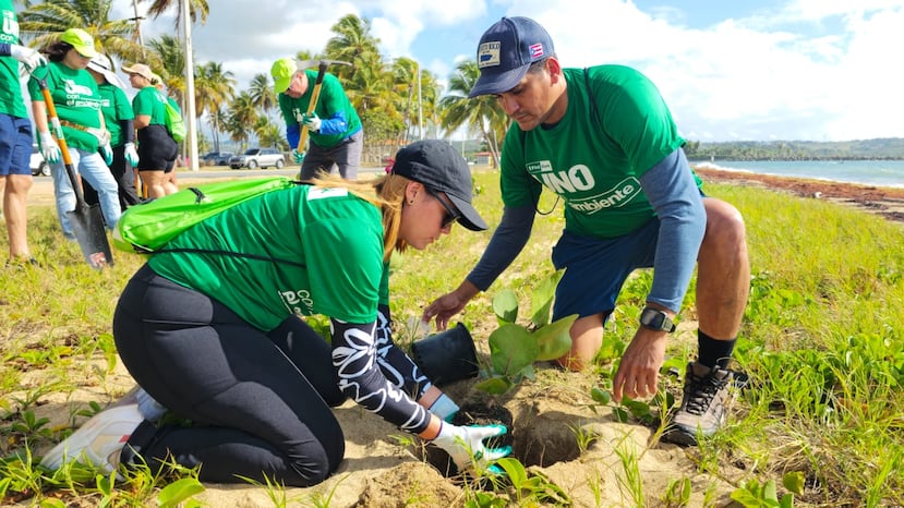 Busca más información en www.unoconelambiente.com.
