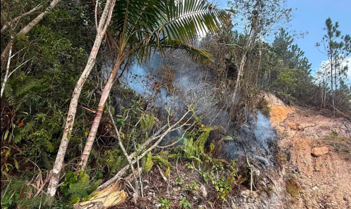 Bomberos trabajan en focos calientes de incendio forestal en Cayey, extinguido en 90%