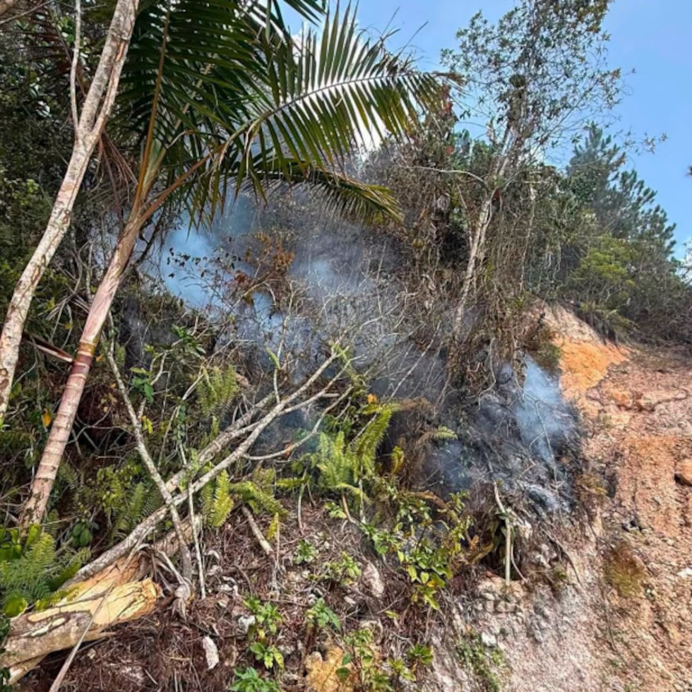La Guardia Nacional de Puerto Rico ya no se encuentra activa en la operación.