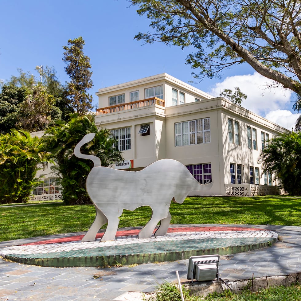 “Torito Emprende” se llevará a cabo este jueves, 19 de marzo, de 9:00 a.m. a 3:00 p.m.